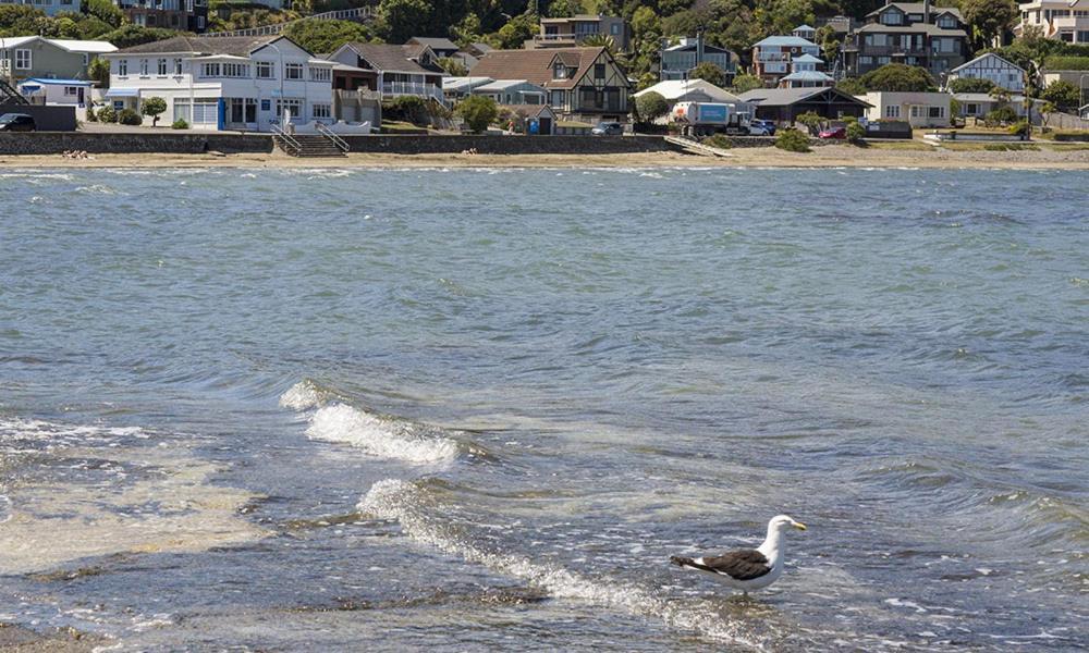Moana Lodge Plimmerton Bagian luar foto