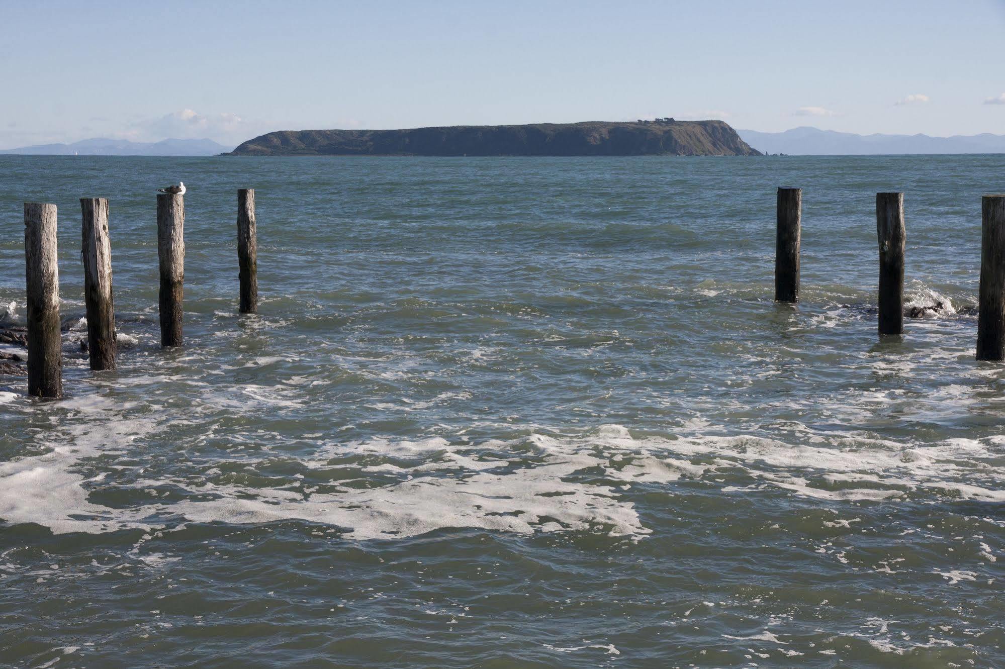 Moana Lodge Plimmerton Bagian luar foto